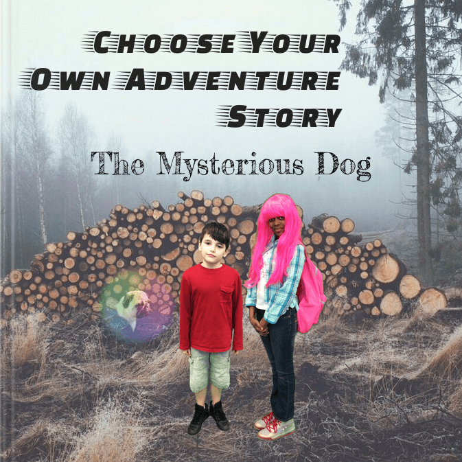 Choose your own adventure, student book cover